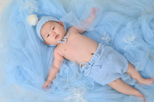 茌平宝宝树怎么样